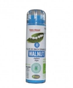 Noyer - Walnut (n°33) SANS ALCOOL BIO, 130 granules